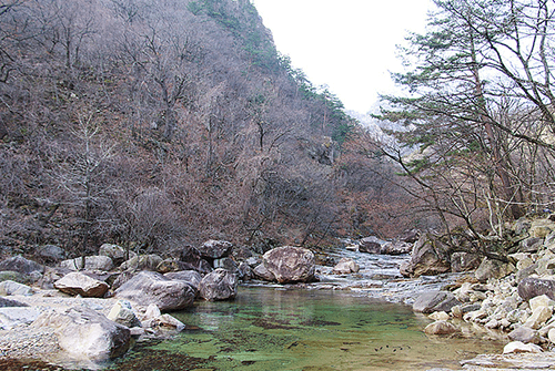 금강굴01