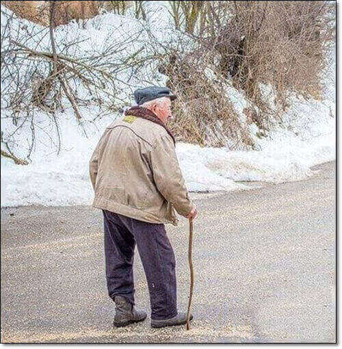 파킨슨병에 좋은 파바빈