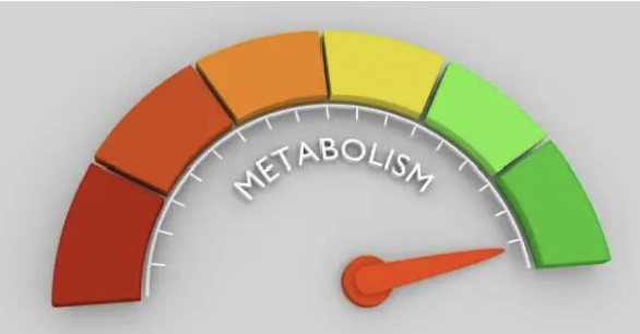 실시간 LC-MS/MS 모니터링 – 병상 옆(Point-of-Care) 대사체 분석 플랫폼