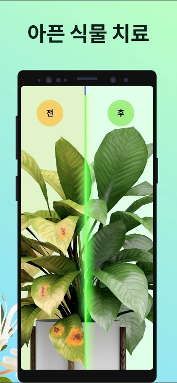 PictureThis, 꽃 & 식물 찾기