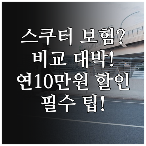 스쿠터 보험료 비교, 이렇게 하면 연..