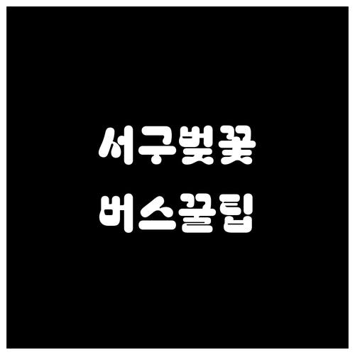 2026년 부산 서구 벚꽃 여행 정보..