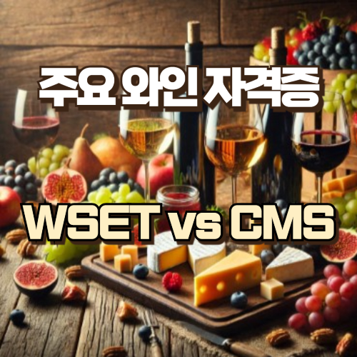 주요와인자격증