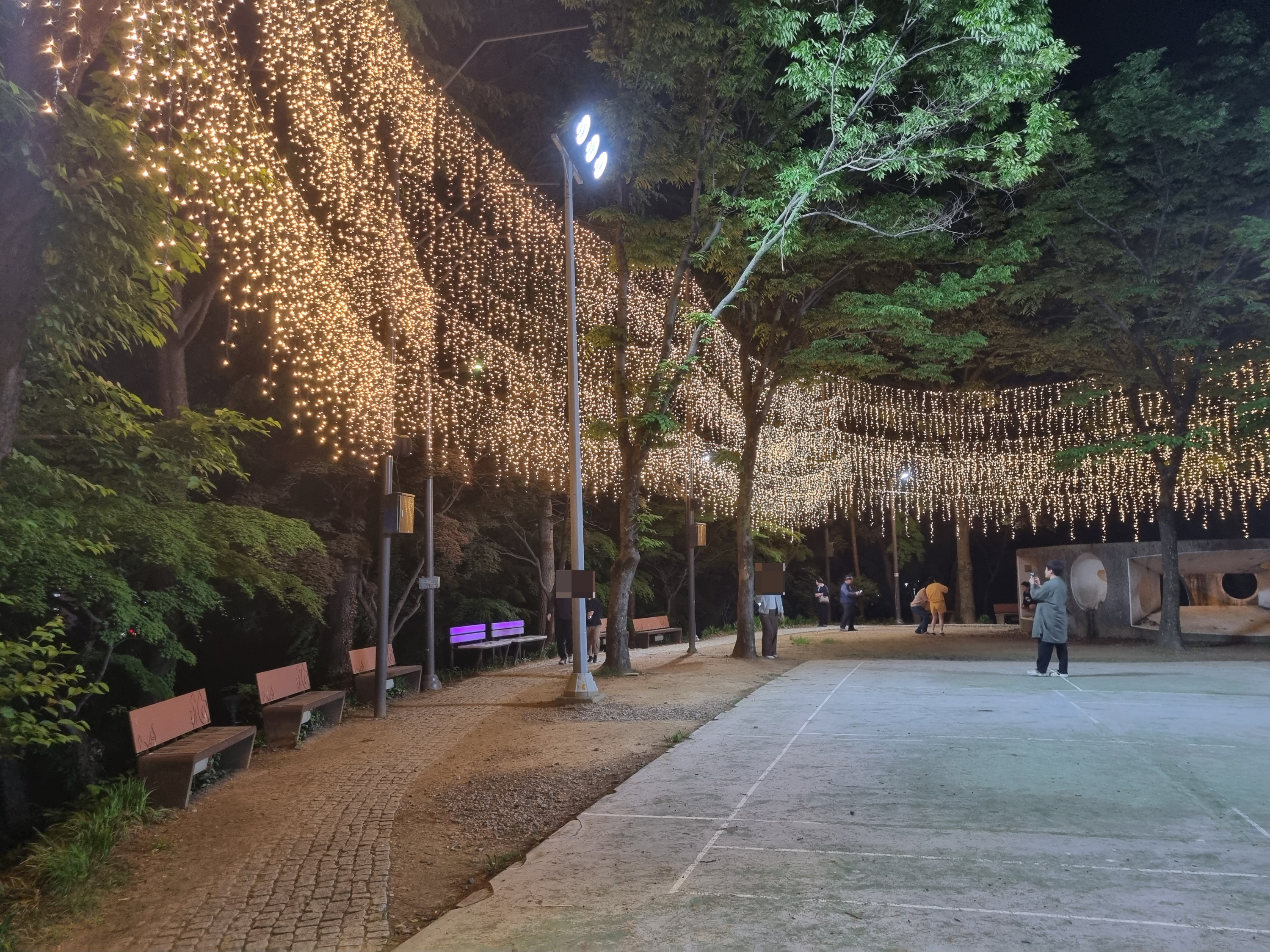 사직공원 빛의숲