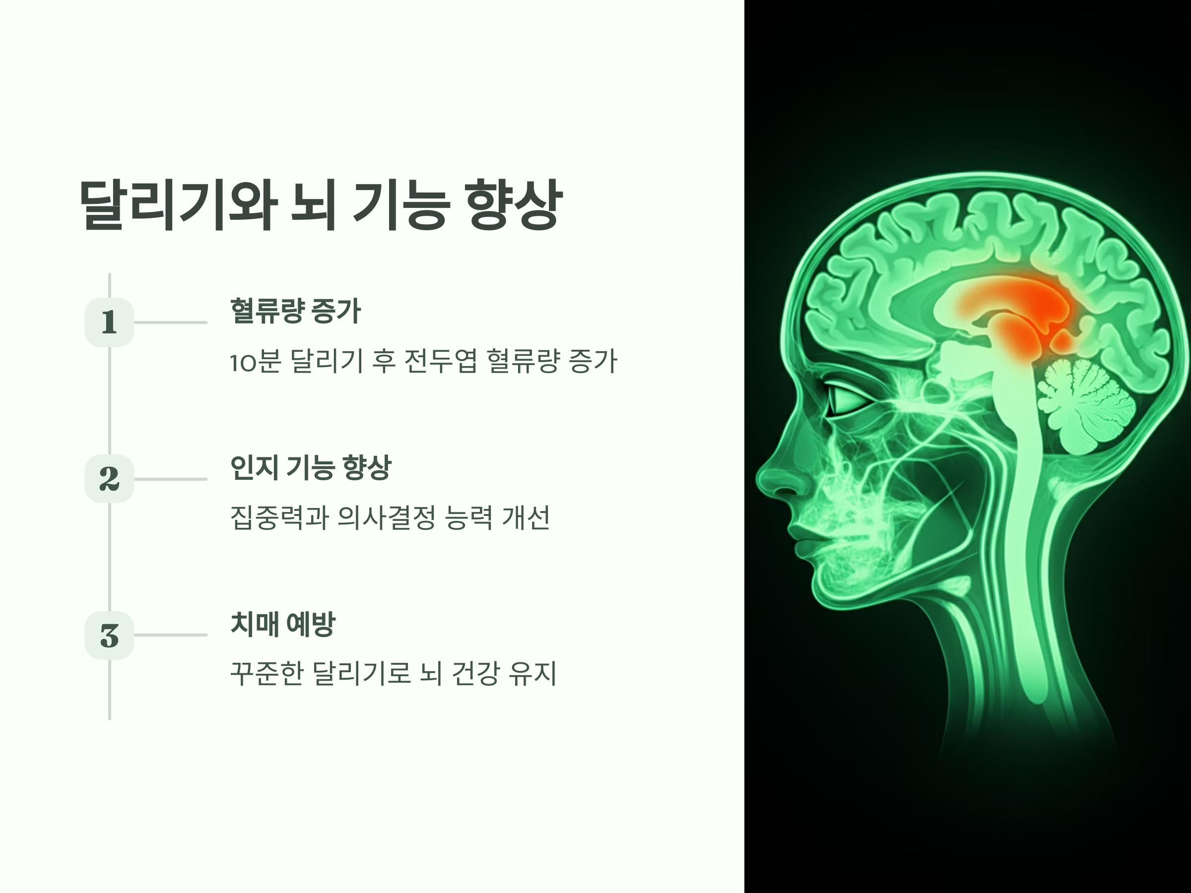 인지 기능 향상 – 달리기와 뇌의 놀라운 연결고리