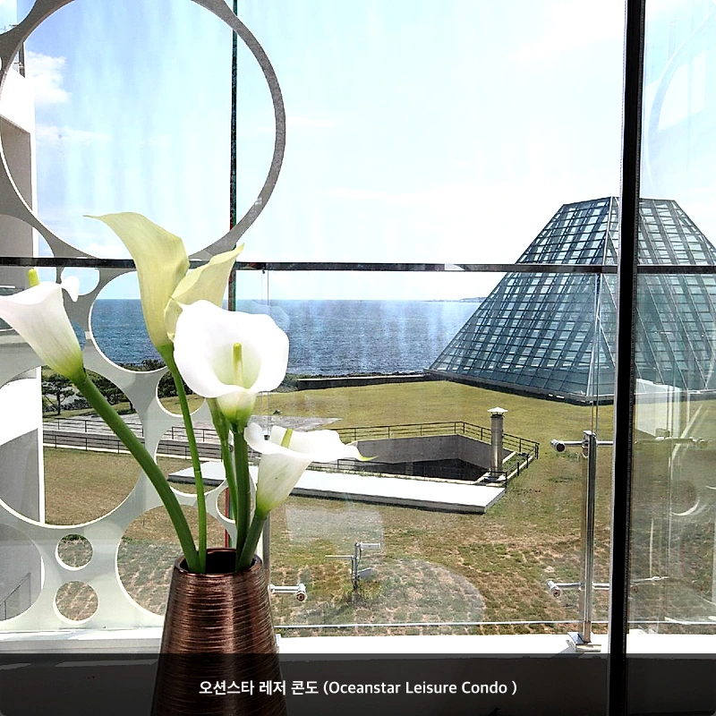 오션스타 레저 콘도 (Oceanstar Leisure Condo )_3