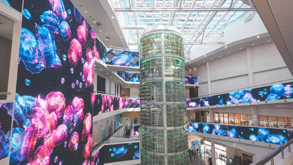 서천 가볼만한곳 베스트10