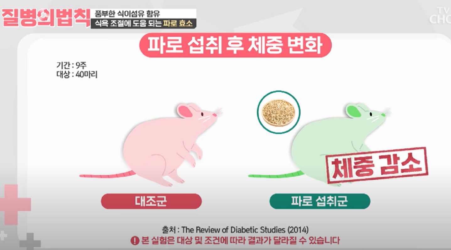 파로쌀-파로-효능-혈당다이어트-엄지의제왕