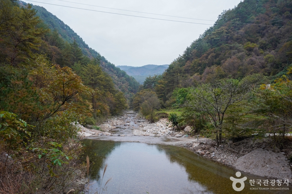 봉화 가볼만한곳 베스트10