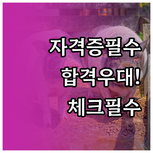 창녕군 시니어클럽 사회복지사 자격증 ..