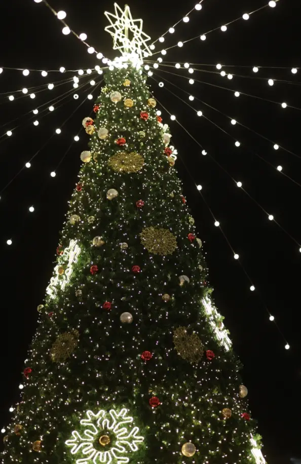 크리스마스-데이트