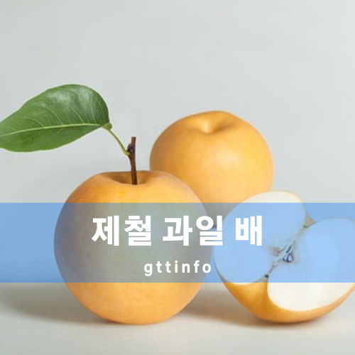 배의 효능