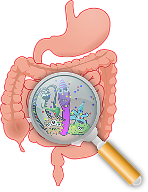 대장내시경비용,검사시간-이미지