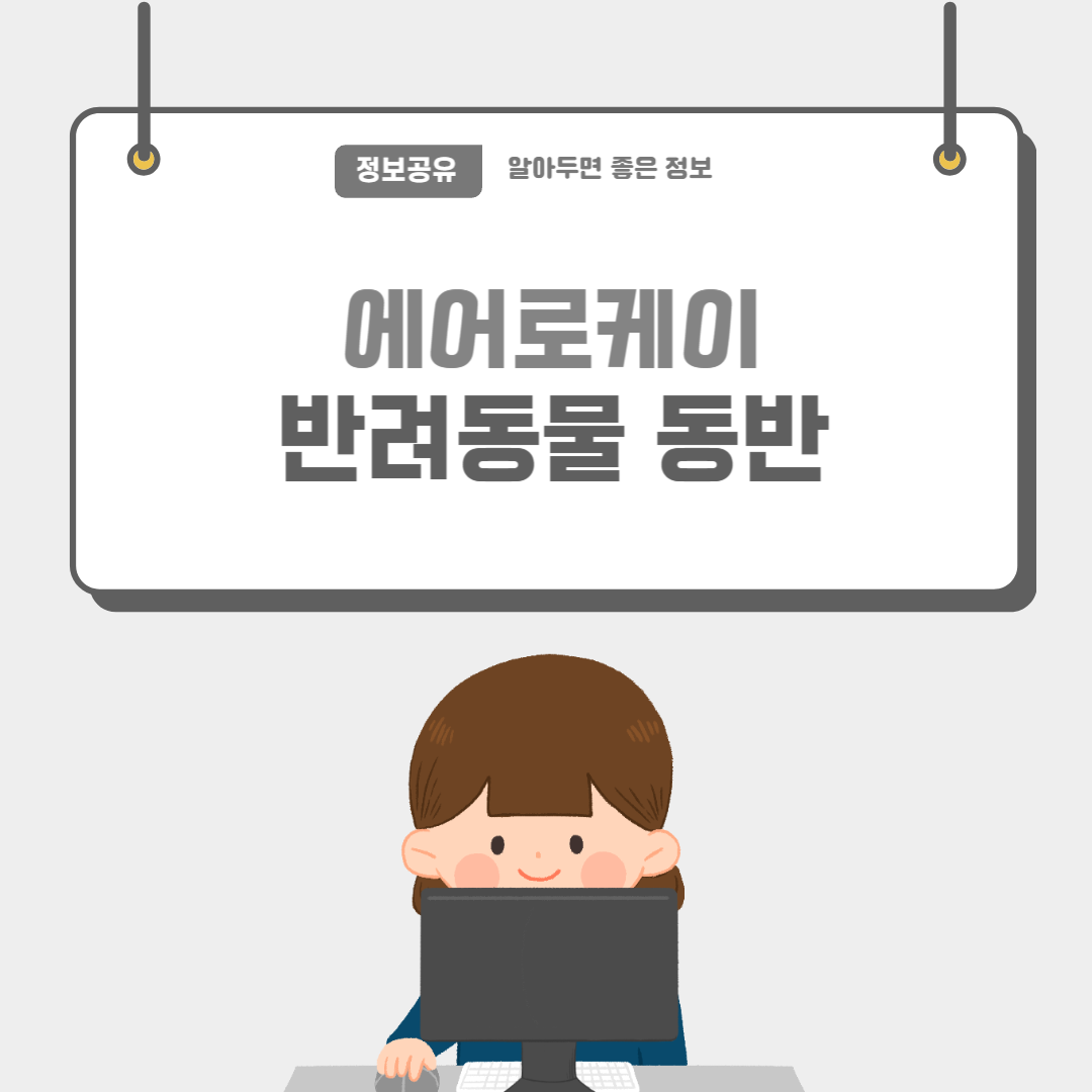 에어로케이-썸네일