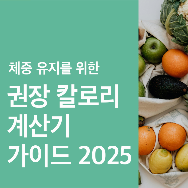 권장칼로리계산기