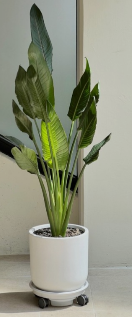 개업 축하 화환 문구