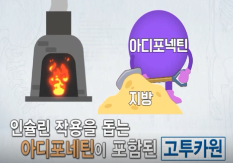 고투카원 효능