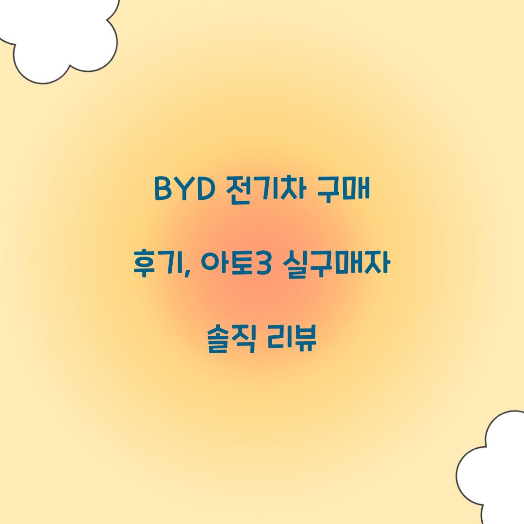 BYD 전기차 구매 후기