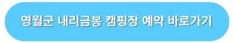 영월군 내리금봉 캠핑장 예약 바로가기