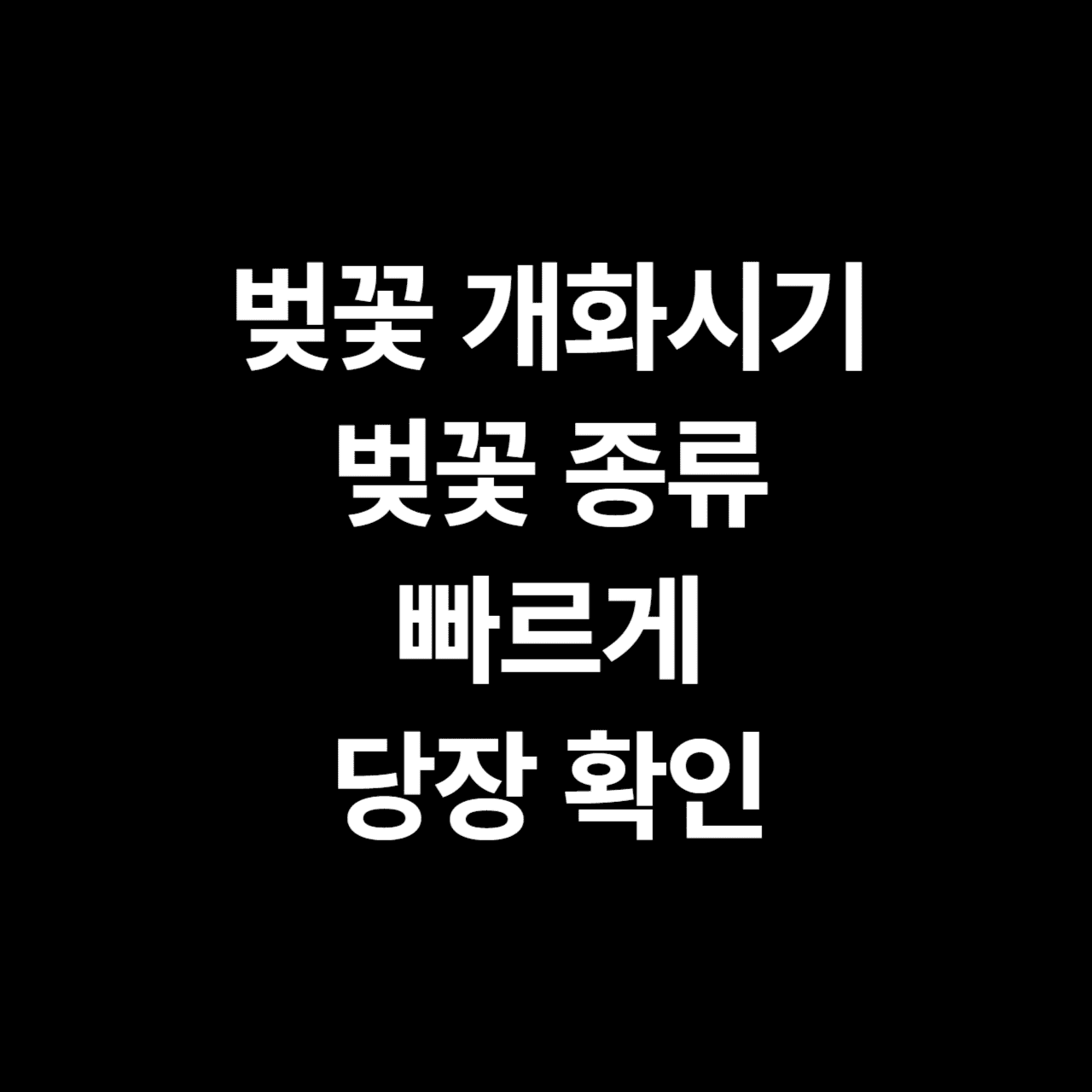 벚꽃