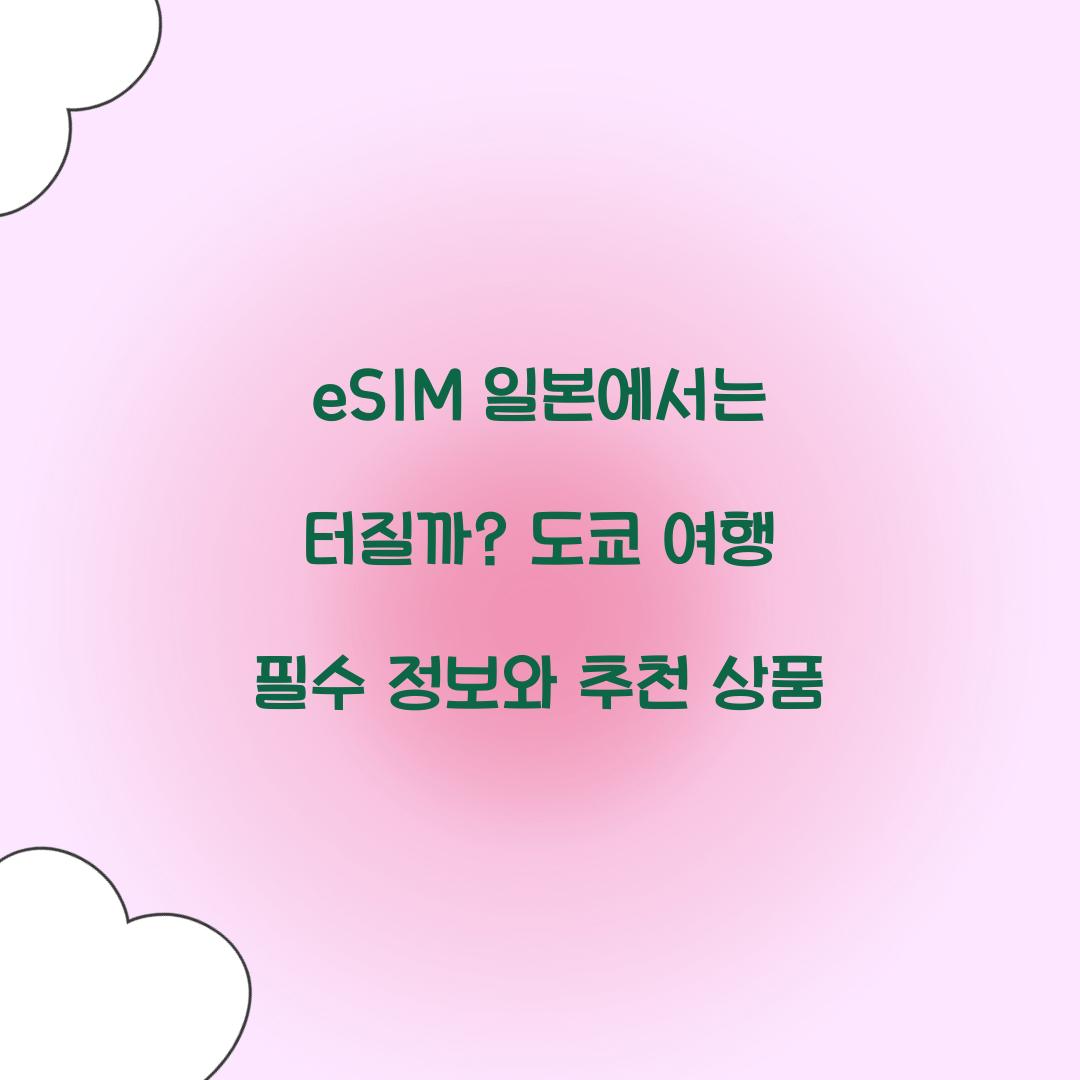 eSIM 일본에서는 터질까