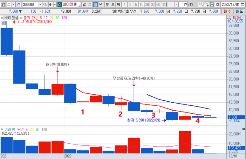 바이젠셀 월봉 차트