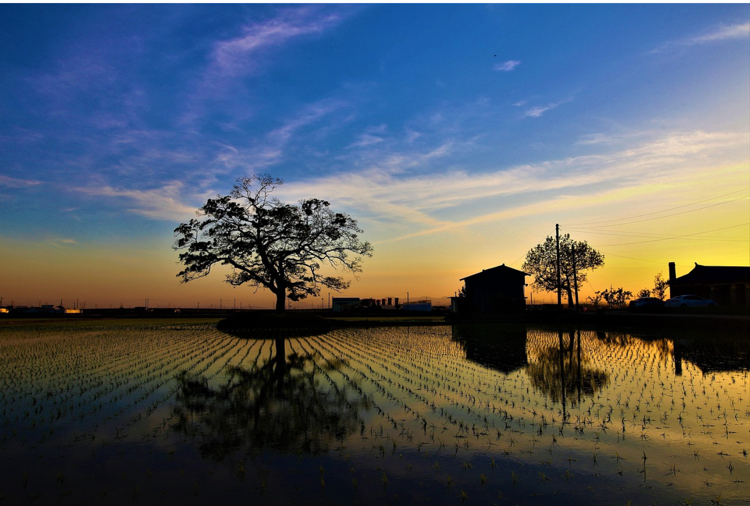 농산어촌 교육회복 프로젝트, 지역 소멸을 막을 수 있을까