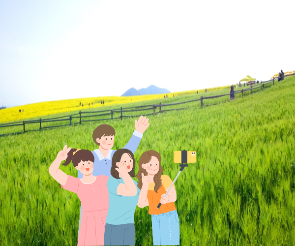 고창 청보리밭 축제