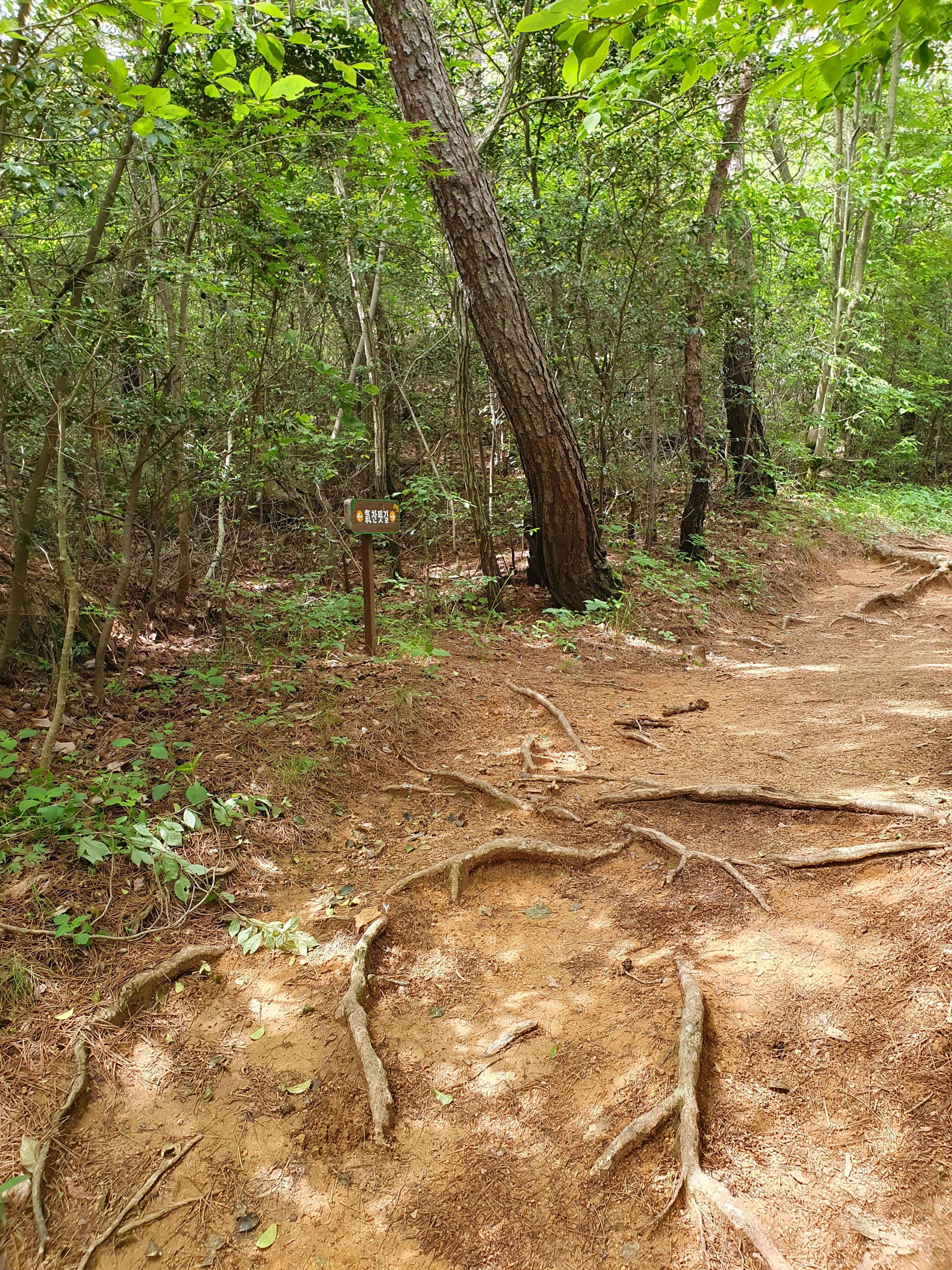 월출산 천황야영장