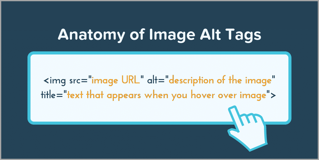 알트 태그 이미지