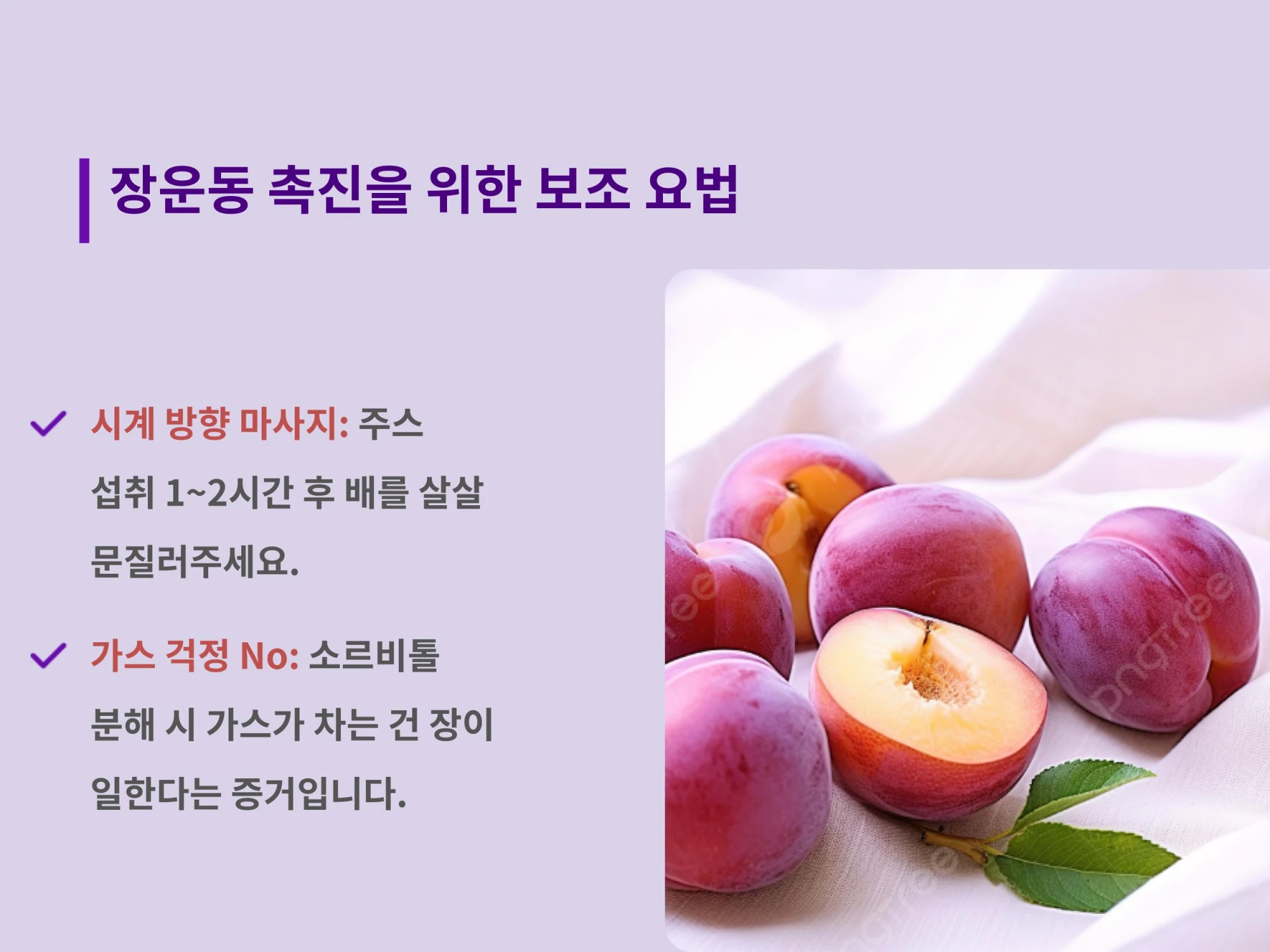 신선한 자두 사진과 함께 주스 섭취 1~2시간 후 배를 시계 방향으로 마사지하는 방법 및 가스 현상에 대한 안심 문구