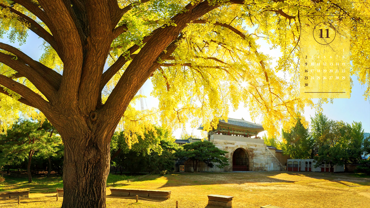 05 경복궁 건춘문 A - 2025년11월 노트북배경화면