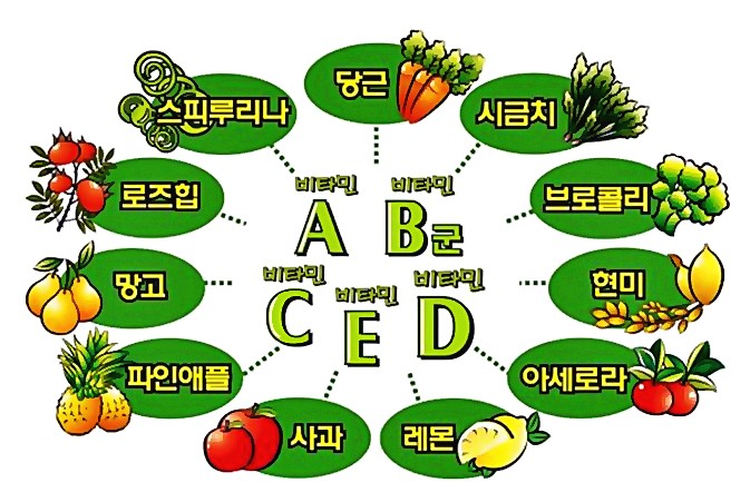 비타민이 풍부한 식품