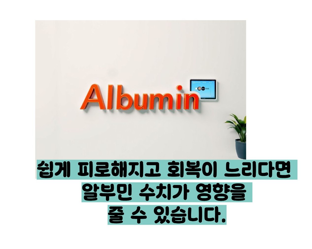 알부민 수치 낮으면