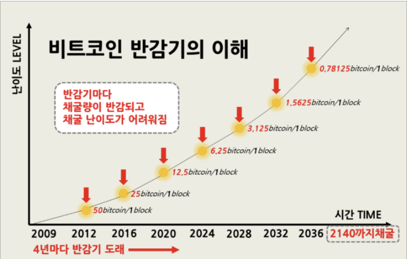 비트코인-반감기-그래프