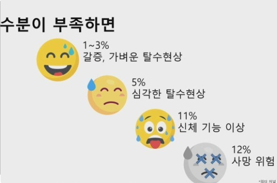 폭염 경보 및 수분 섭취 권고 관련 이미지