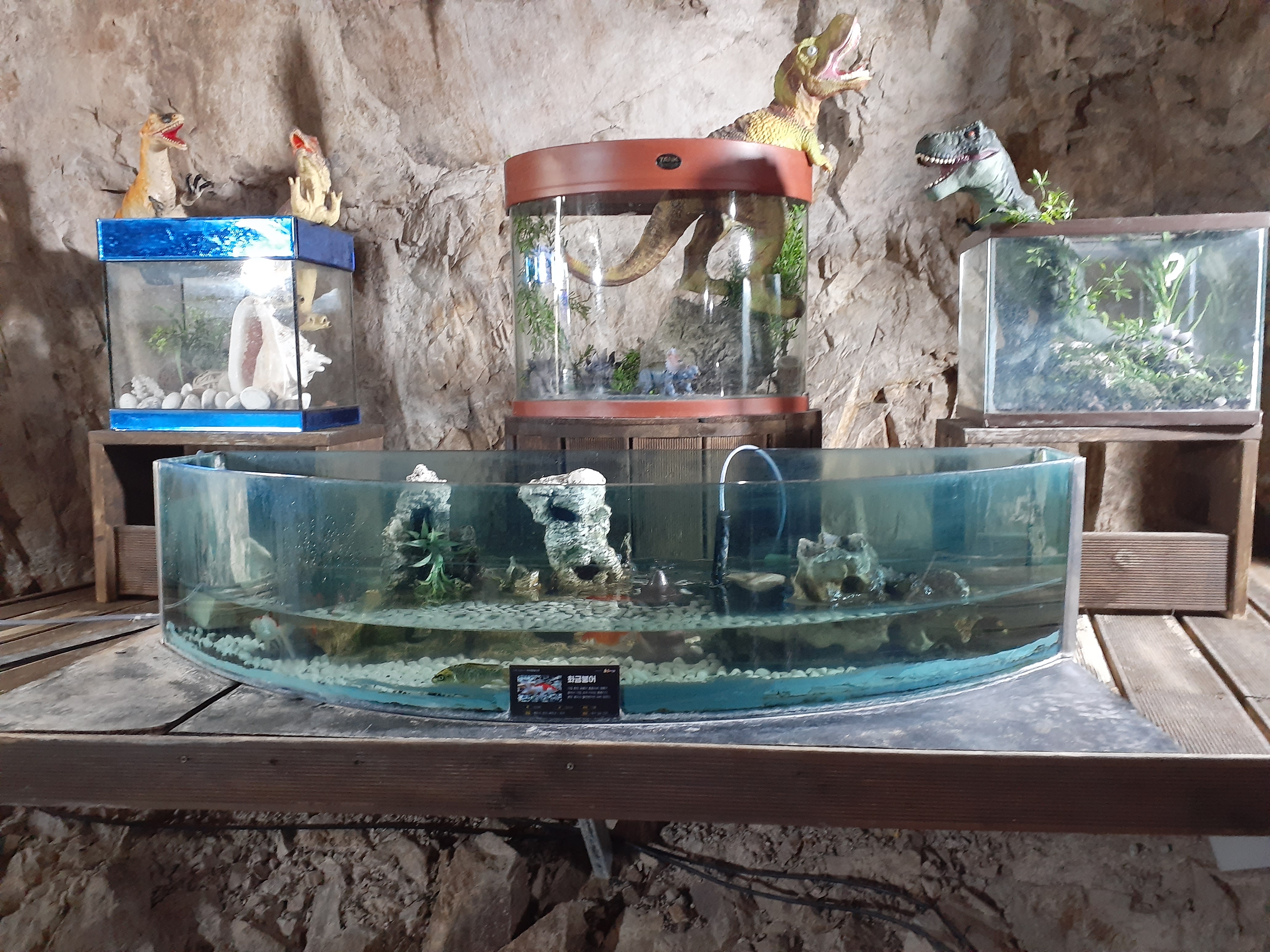 자수정동굴나라