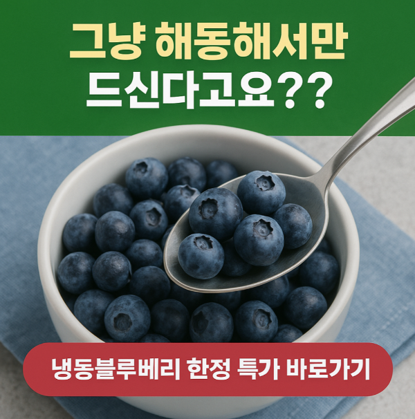 냉동블루베리먹는방법