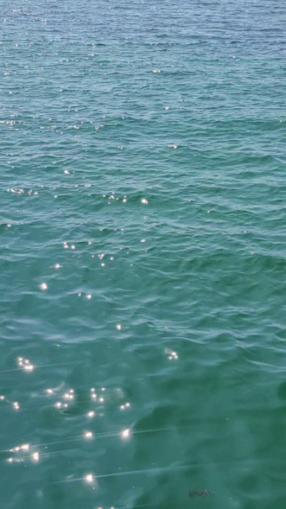 제주서쪽여행-스노클링-3대장-월령포구-협재해수욕장-금능해수욕장