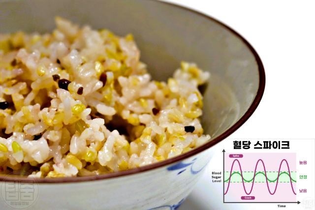 춘곤증 극복 좋은 음식 현미 귀리