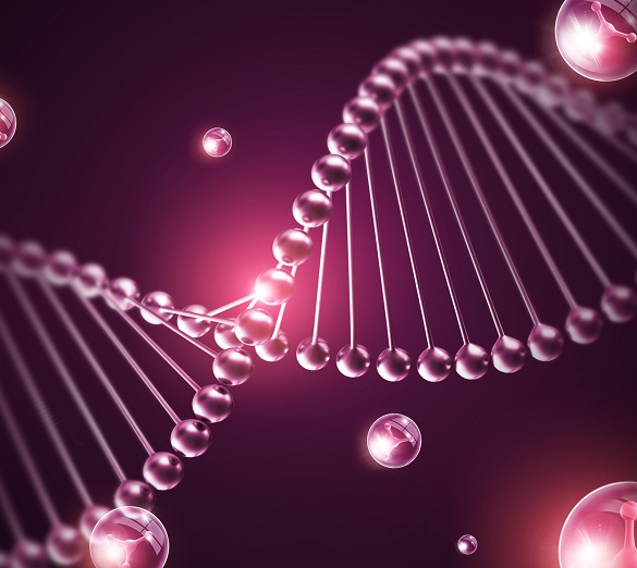 콜라겐이 많은 음식