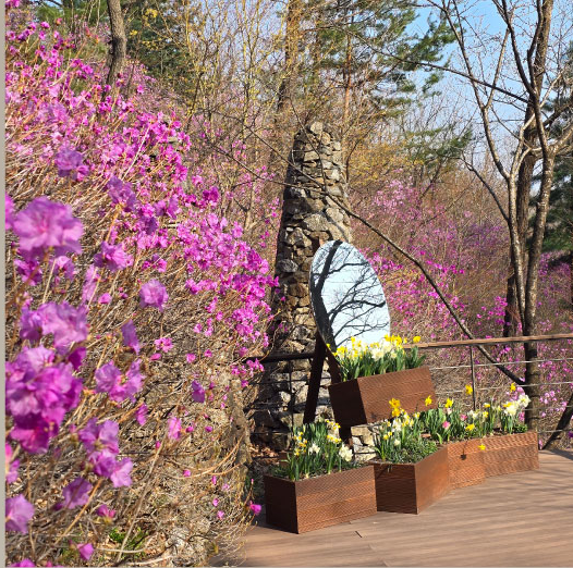 곤지암 화담숲 예약