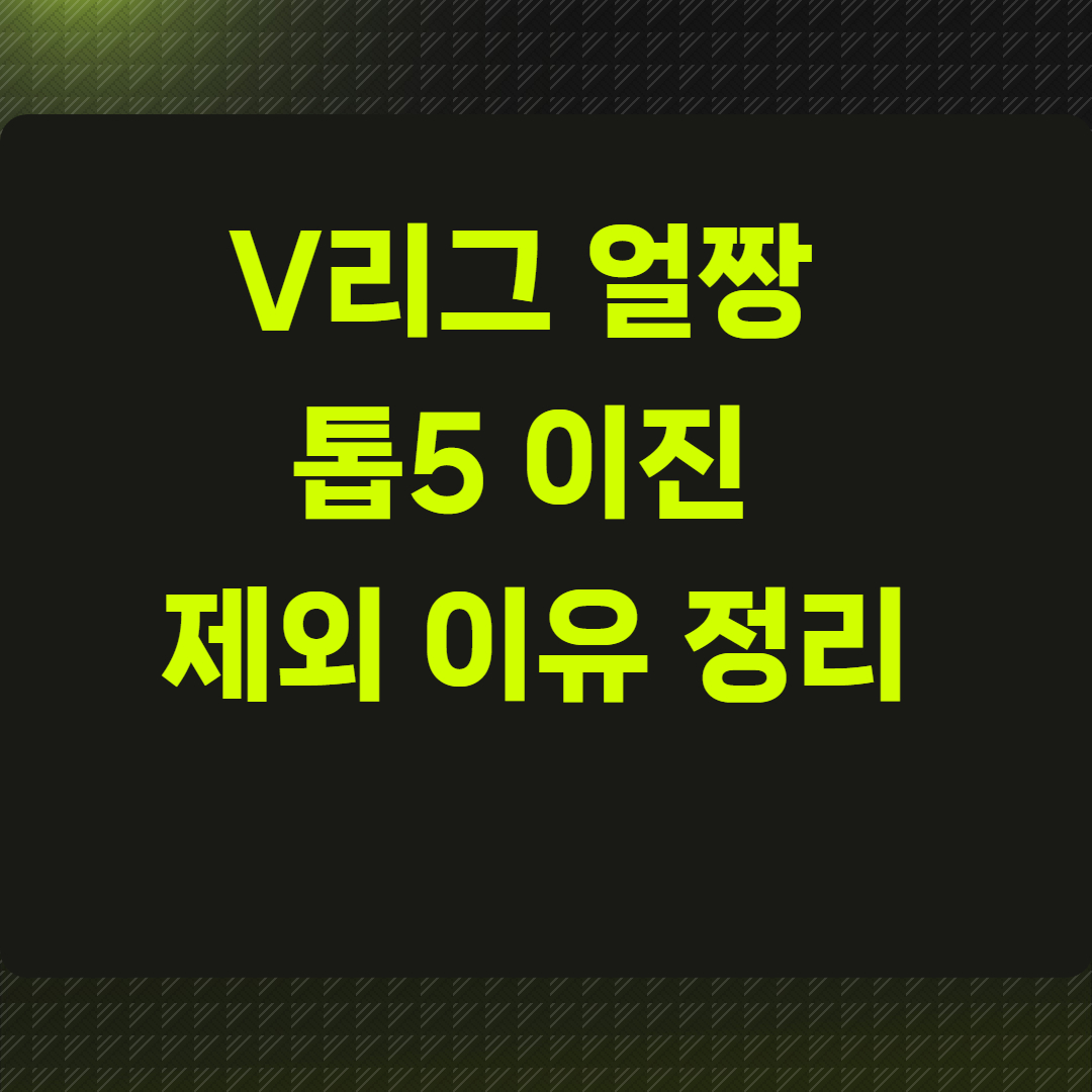 V리그 얼짱 톱5 이진 제외 이유 정리