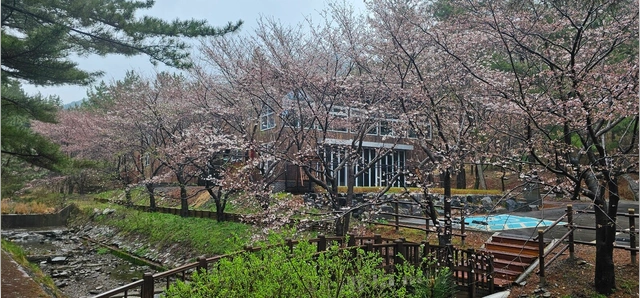 희리산해송자연휴양림