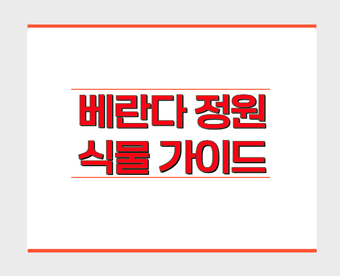 베란다 정원, 어떤 식물을 심어야 할까요? : 햇빛, 공간, 관리 난이도 완벽 가이드