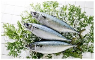 모유수유에 금할 음식