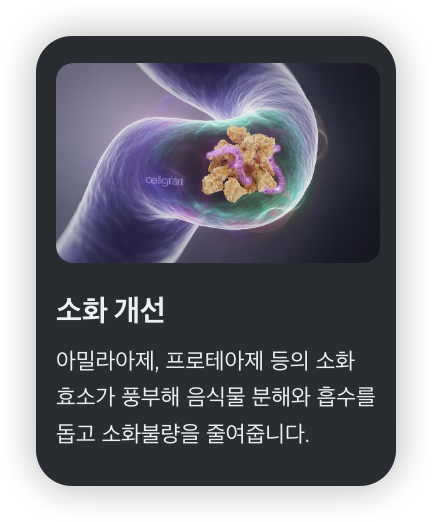 카무트효소-효능-소화-개선