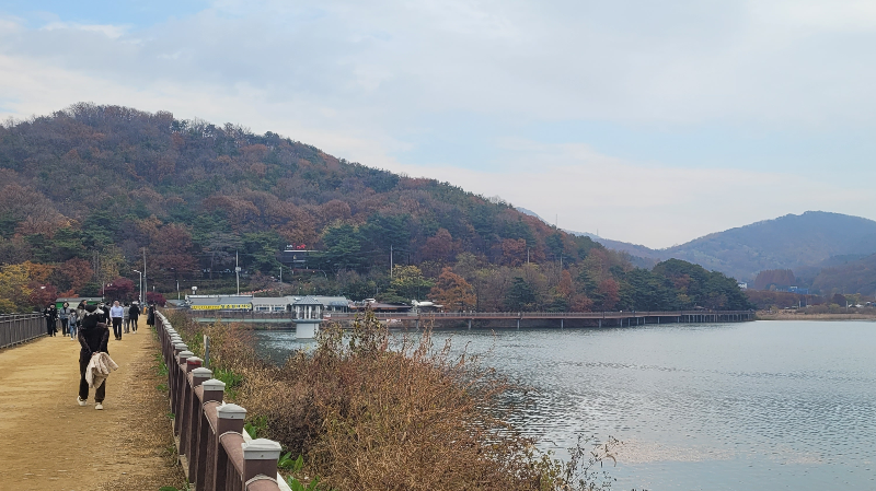 백운호수 주변 풍경 -산책 데이트 코스