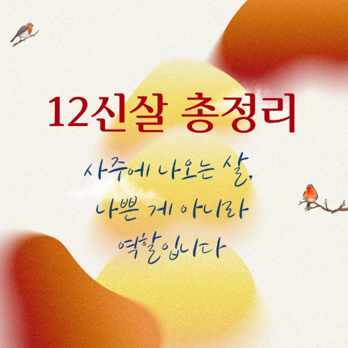 12신살_총정리