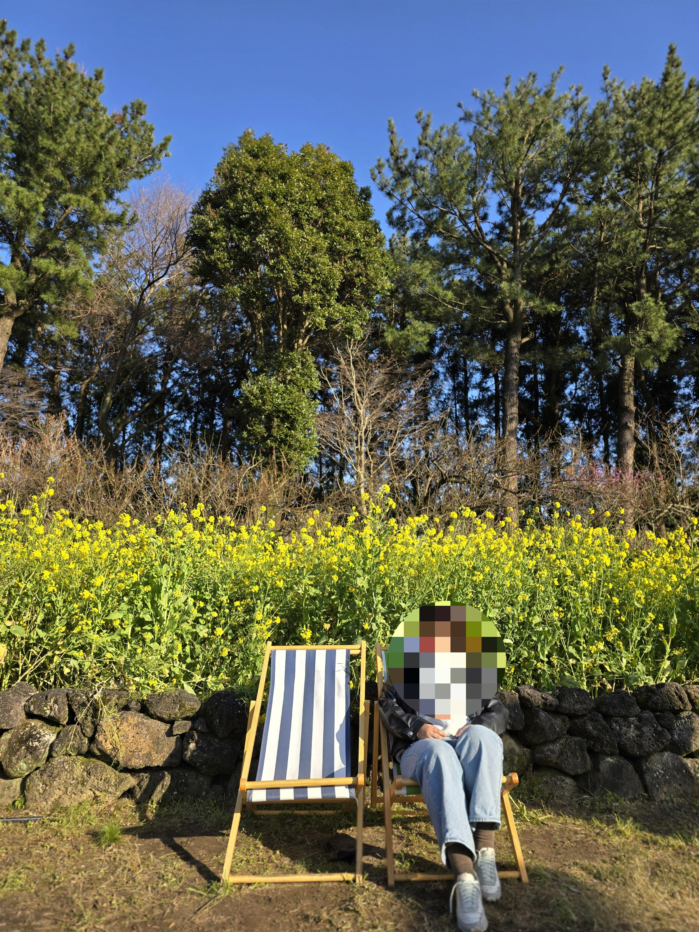 제주도가볼만한곳